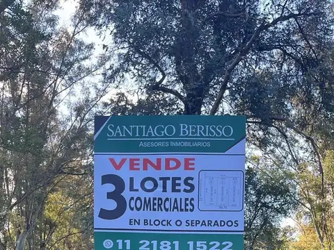 Terreno en Venta 20  mts Frente