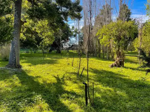 Venta de campo en Veronica