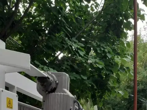 Casa en Alquiler en Carapachay, $ 1.300.000