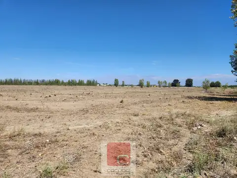 Terreno en Venta 250  mts Fondo