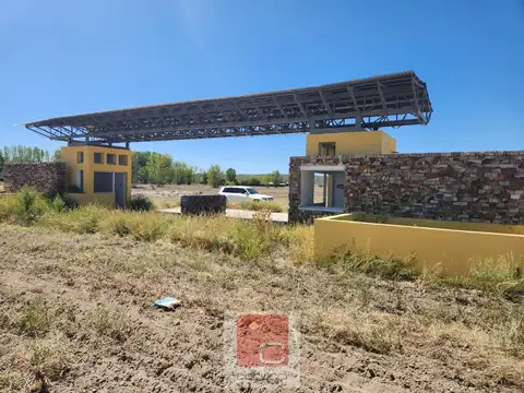 TERRENO SOBRE LA RUTA PARA DESARROLLO TUPUNGATO- TUNUYAN