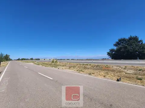 RUTA 40 S/N TUPUNGATO- TUNUYAN