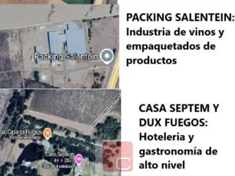 TERRENO SOBRE LA RUTA PARA DESARROLLO TUPUNGATO- TUNUYAN