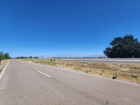 RUTA 40 S/N TUPUNGATO- TUNUYAN