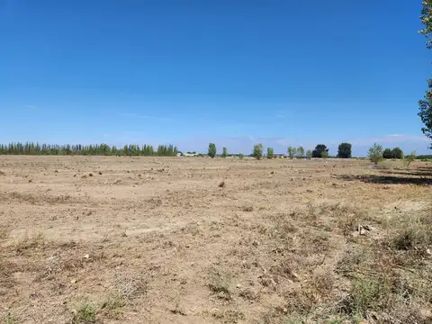 Terreno en Venta de 56643,0 m2