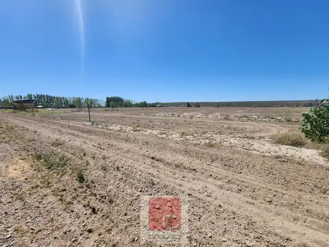 Terreno en Venta en Tupungato, USD 250.000