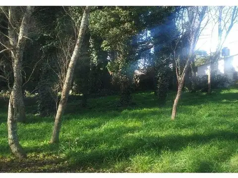 El Tordo y La Gaviota