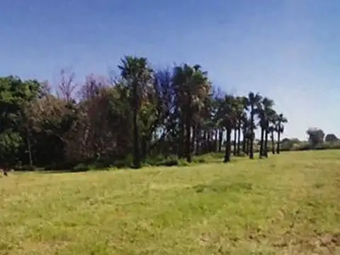 Terreno en Venta de 61,0 m2