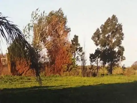 Terreno en Venta de 61,0 m2