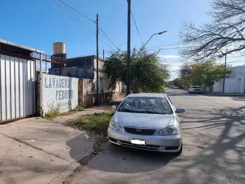 Alem 800
