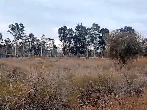Ruta 50 y Miguez, San Martin, Mendoza, Argentina