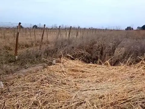 VENTA DE TERRENO SAN MARTIN MZA - IDEAL DESARROLLO