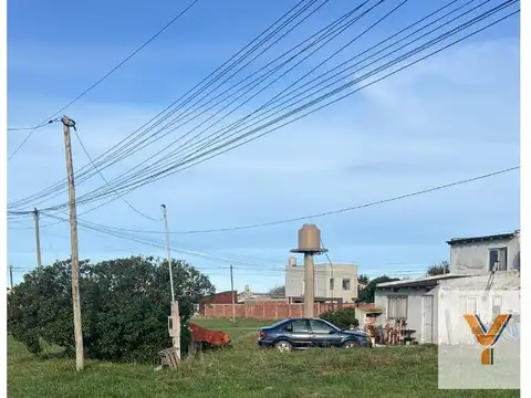 Las Verbenas e/ Los Pensamientos y Las Violetas