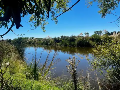 Venta campo 4,47 has  en Tala ,casa 2 dormitorios
