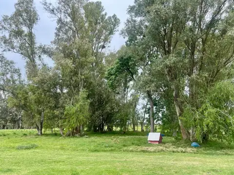 Venta campo 4,47 has  en Tala ,casa 2 dormitorios