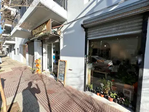 Carlos Casares  1115