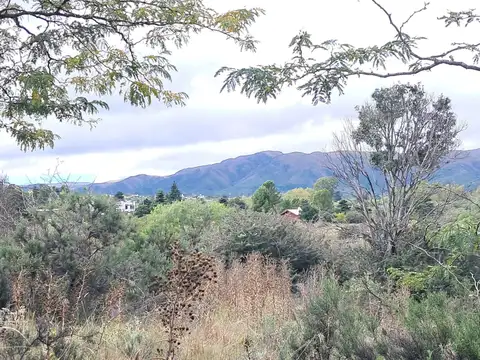 Madreselva