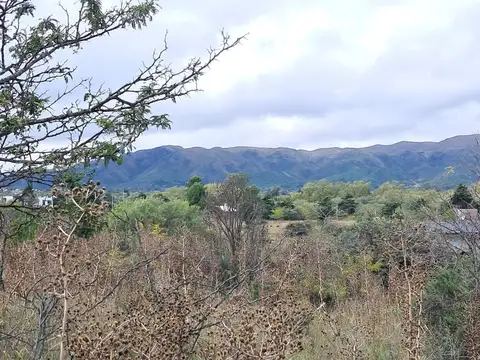 Madreselva