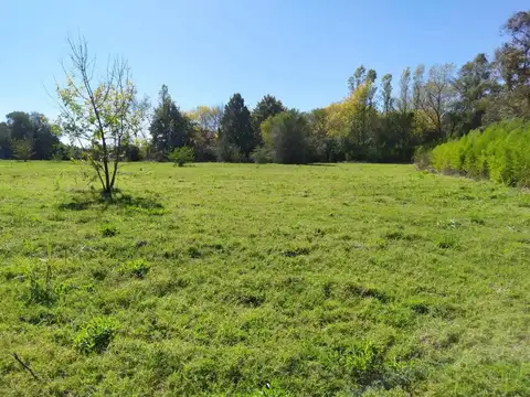 Quinta con terreno de 150m x 195m