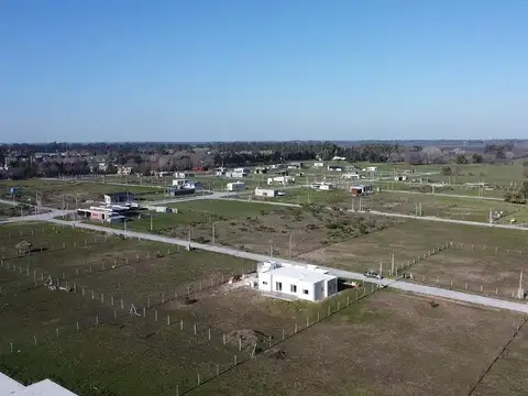 El Lazo - Lote 190