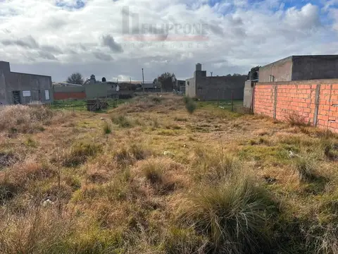 Terreno en Venta en Villa Floresta, USD 25.000