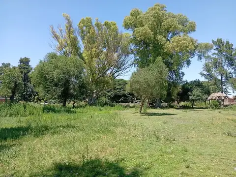 Terreno en Venta 60  mts Fondo