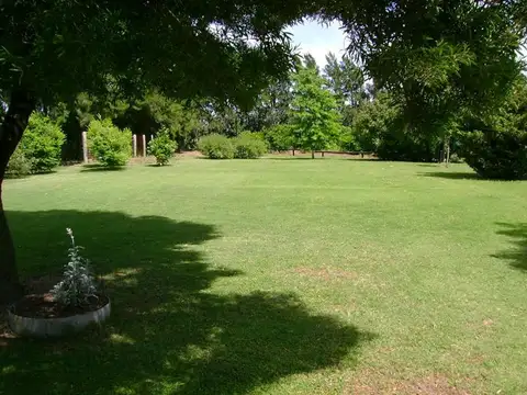 Campo en Venta Frutícola