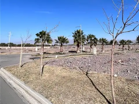 Terreno en Venta de 300,0 m2