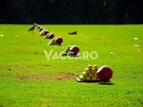 Buenos Aires Golf Country Club