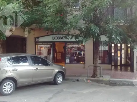 Constitucion al 1100