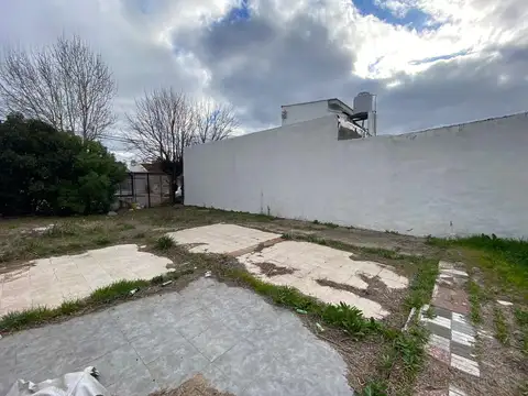 Calle 31 6600
