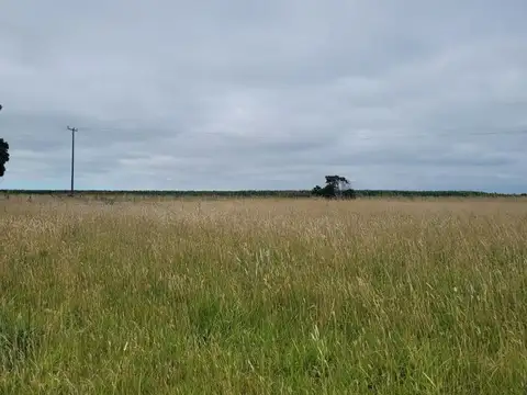 Terreno en Venta de 465,0 m2