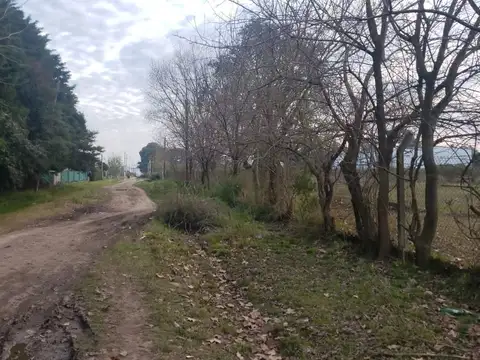 Atahualpa