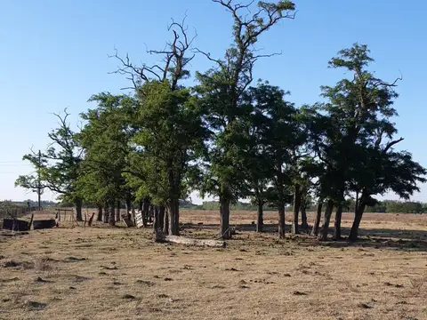 Campo de 17 has. Se toman permutas, por casa o Depto. 