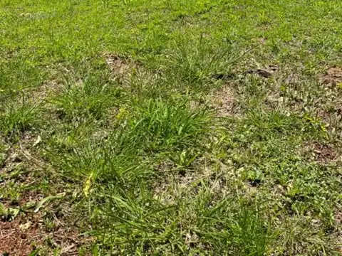 Terreno en Venta 12,54  mts Frente