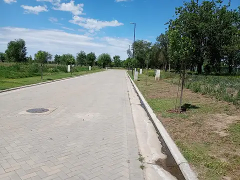 Terreno en Venta 12  mts Frente