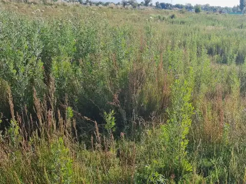 Terreno en Venta en Totoral, USD 35.000