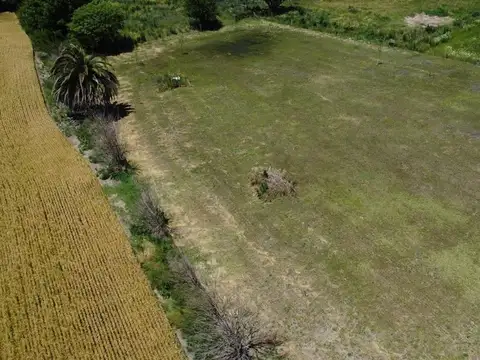Terreno en Venta en Acevedo, USD 20.000