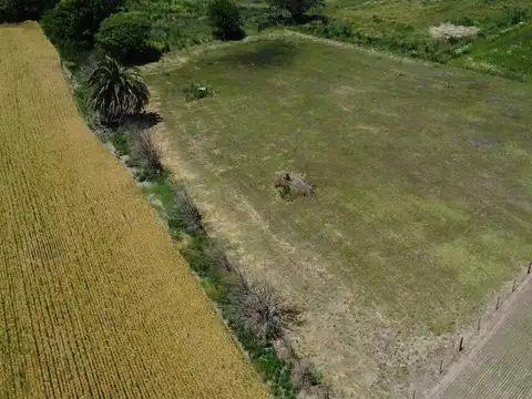 Terreno en Venta de 4374,0 m2