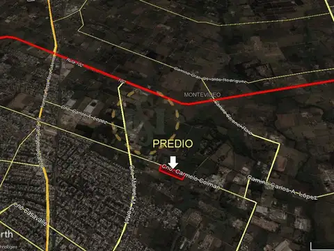 COLMAN, CNO. CARMELO 5000