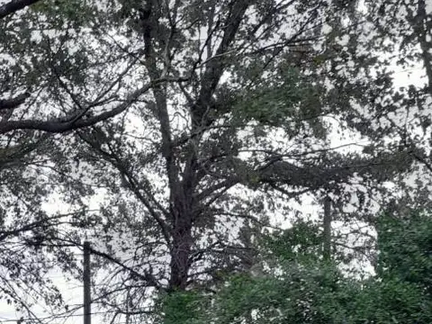 Terreno en Venta de 300,0 m2