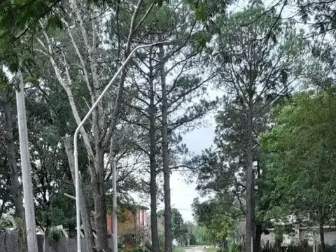 Terreno en Venta de 300,0 m2