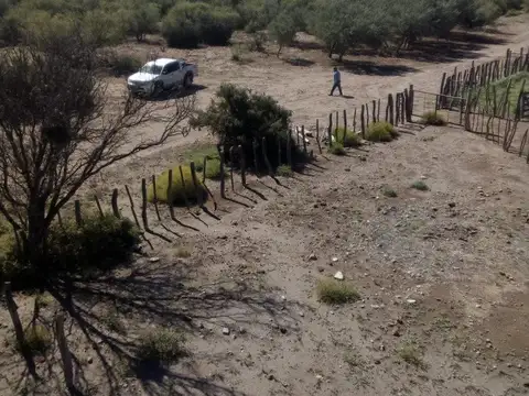 Quinta en Venta en General Alvear, USD 930.000