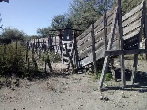 Quinta en Venta en General Alvear, USD 930.000