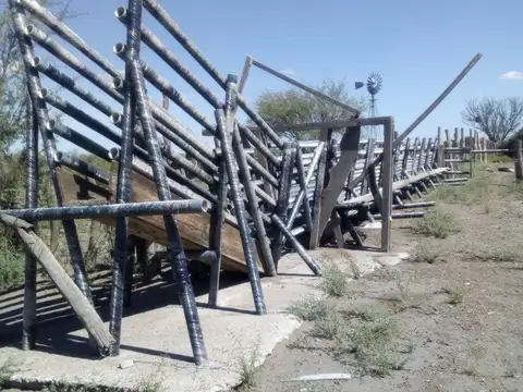 VENDO CAMPO GANADERO EN CARMENSA GENERAL ALVEAR MENDOZA