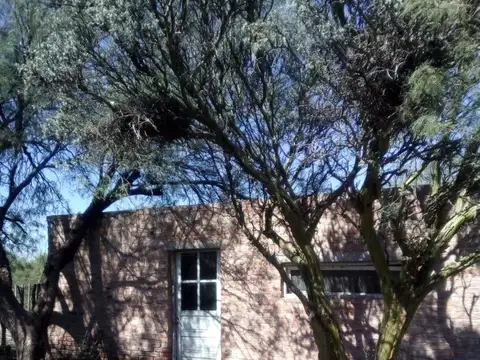 Quinta en Venta 2025 años