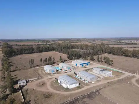 VENTA CAMPO 16 HAS B FERREYRA CORDOBA