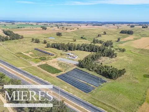 Campo en venta de 59 ha sobre ruta 9 a 15 min de José Ignacio