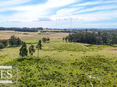 Campo en venta de 59 ha sobre ruta 9 a 15 min de José Ignacio