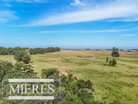 Campo en venta de 59 ha sobre ruta 9 a 15 min de José Ignacio